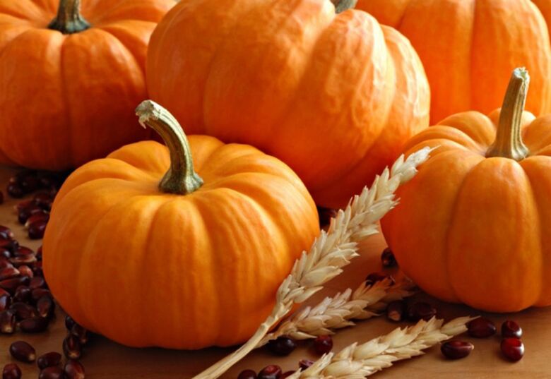 zucca