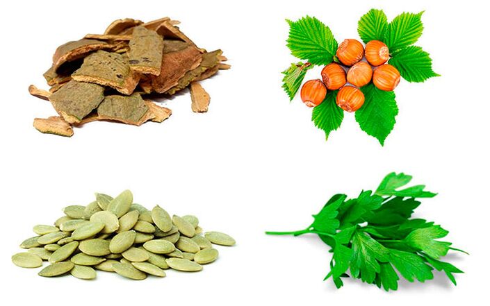 Rimedi popolari per la prostatite corteccia di pioppo tremulo, semi di zucca, prezzemolo e nocciole